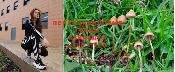 каннабис Приозерск