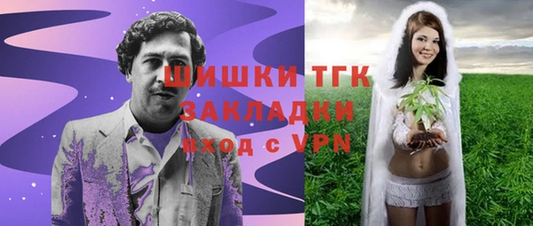 гашик Россошь