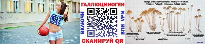 Псилоцибиновые грибы Psilocybine cubensis  Купить где  Волгоград 