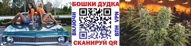 Купить где  Волгоград  Шишки марихуана MAZAR 